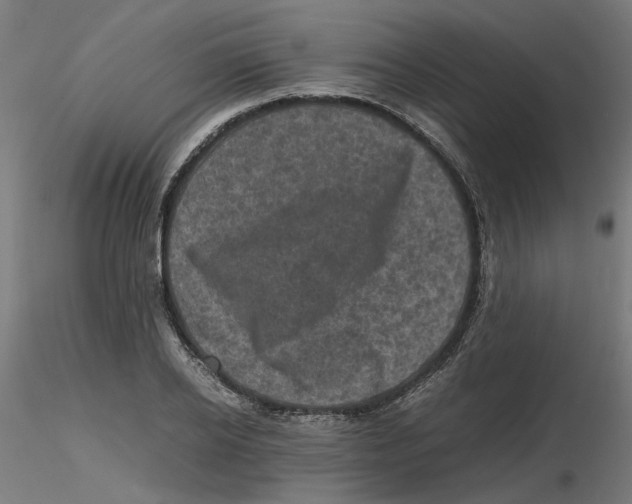 X0000116100934200912211608