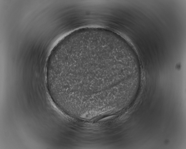 X0000116100935200912211608