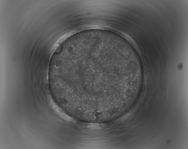 X0000116100938200912211608