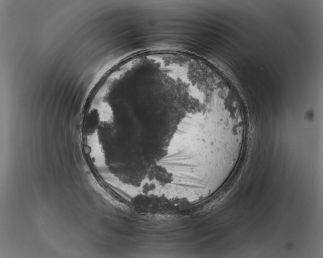 X0000116100941200912211608