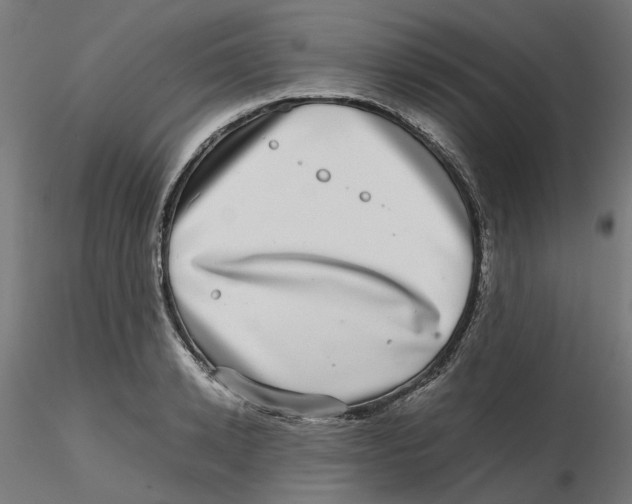 X0000116100942200912211608