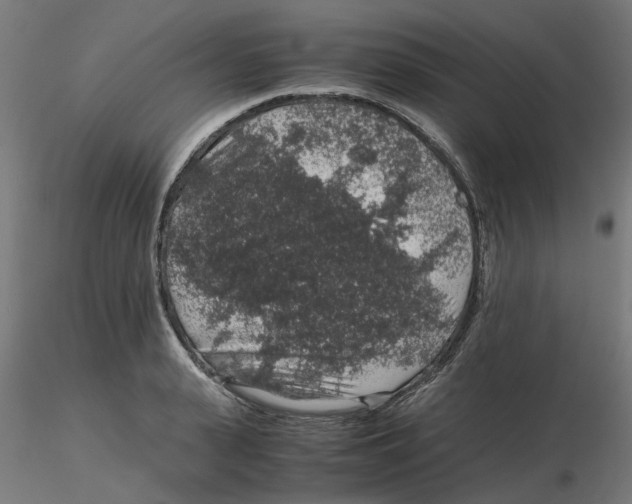 X0000116100943200912211608