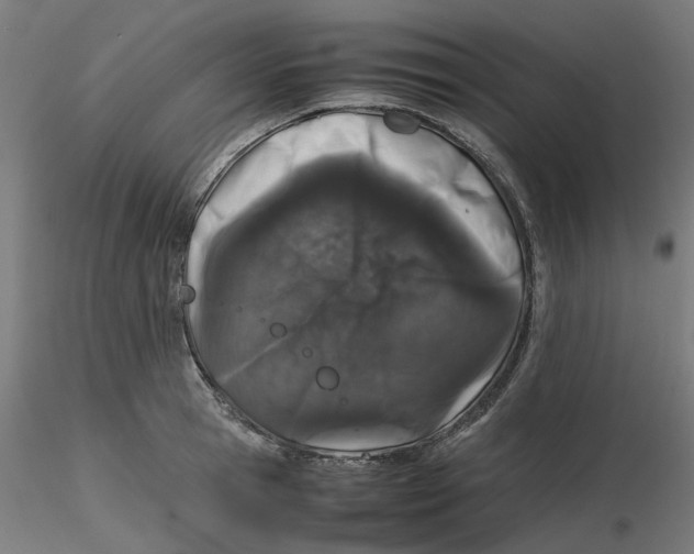 X0000116100945200912211608