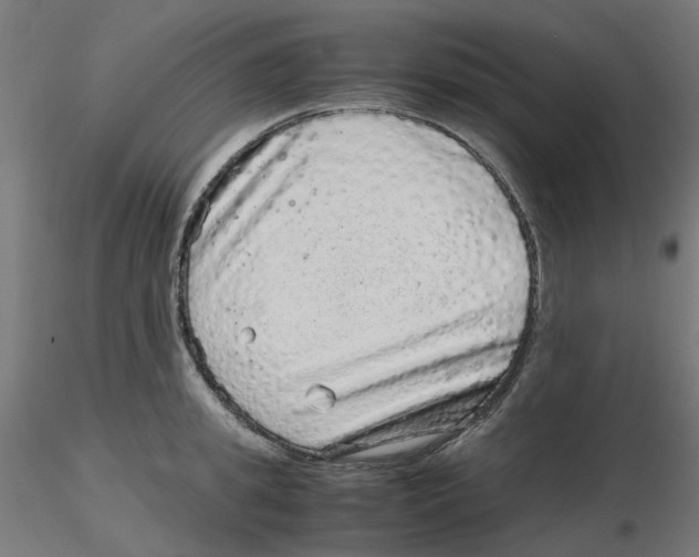 X0000116100949200912211608