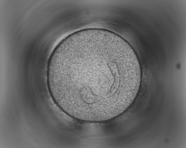 X0000116100950200912211608