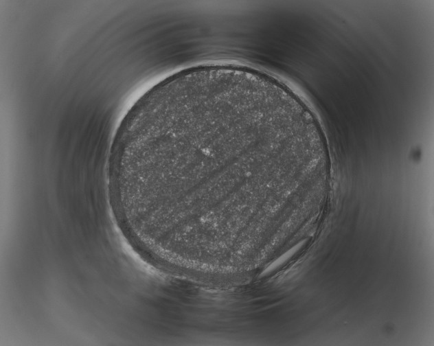 X0000116100951200912211608