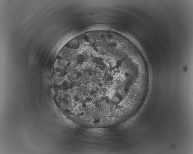 X0000116100953200912211608