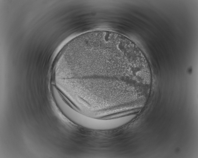 X0000116100955200912211608