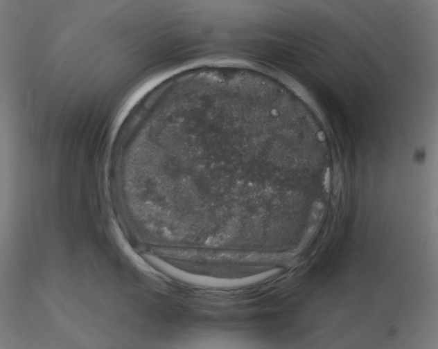 X0000116100959200912211609