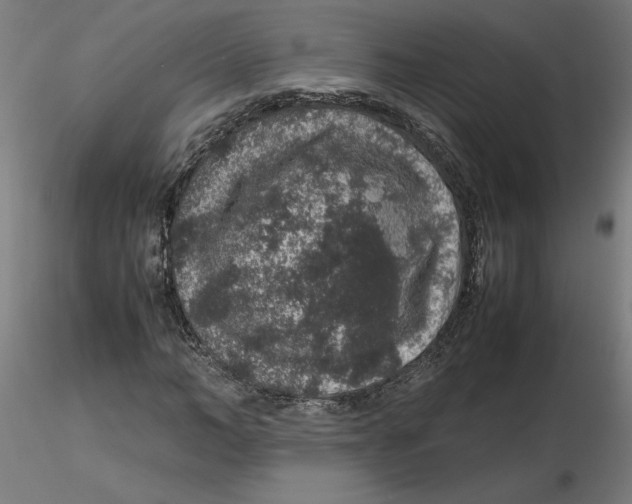 X0000116100966200912211608