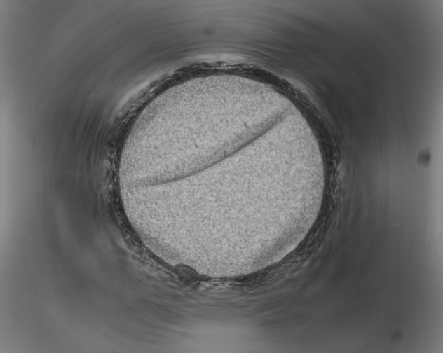 X0000116100967200912211608