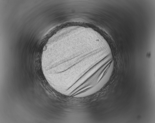 X0000116100968200912211608