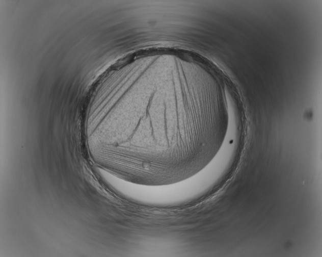 X0000116100969200912211608