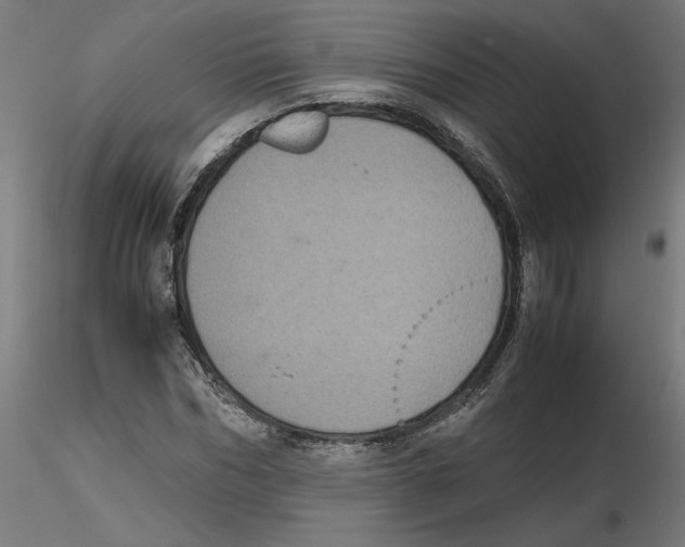 X0000116100970200912211608