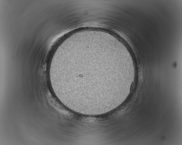 X0000116100971200912211608