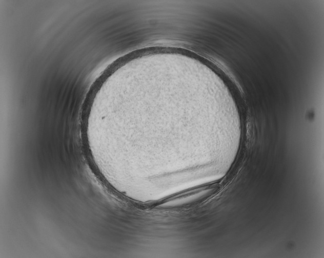 X0000116100972200912211608