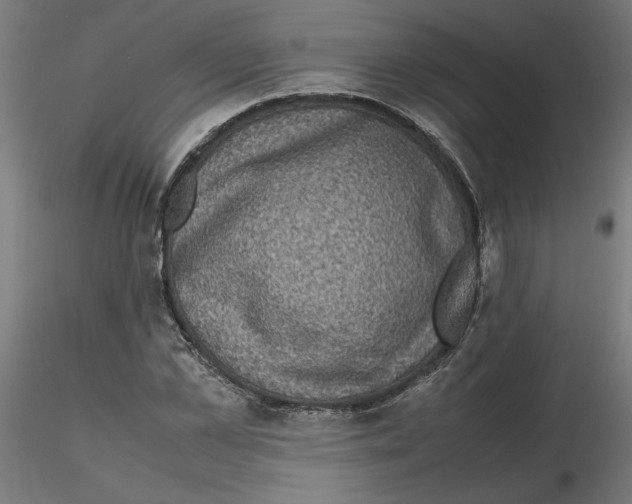 X0000116100973200912211608