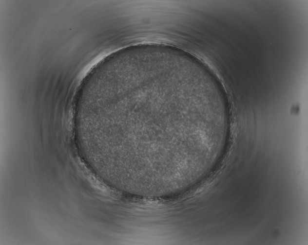 X0000116100975200912211608