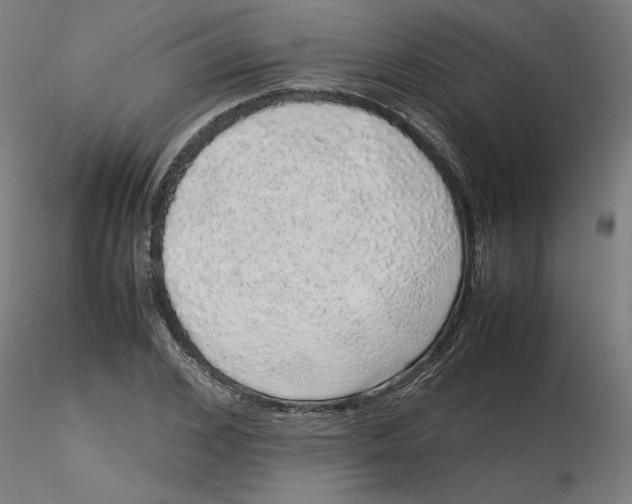 X0000116100976200912211608