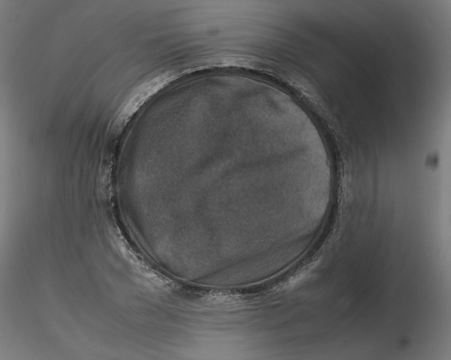 X0000116100977200912211608