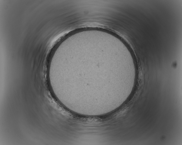 X0000116100979200912211608