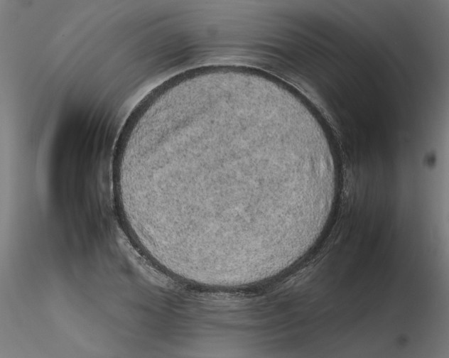 X0000116100980200912211608