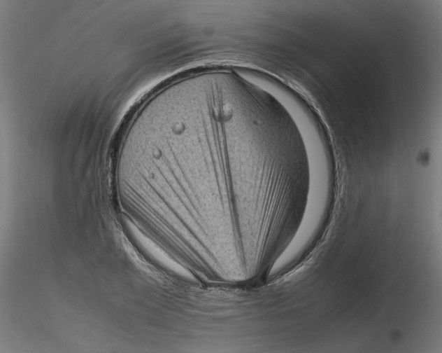 X0000116100981200912211608