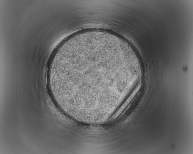 X0000116100983200912211608