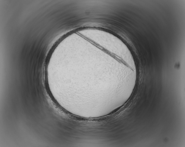 X0000116100984200912211608