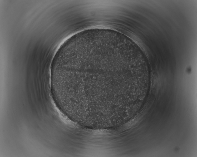 X0000116100988200912211608