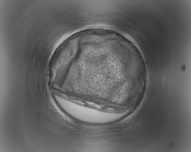 X0000116100989200912211608