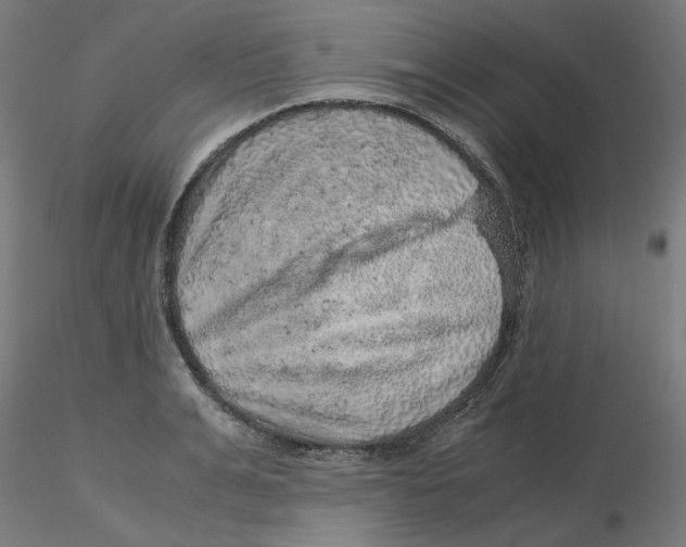 X0000116100991200912211607