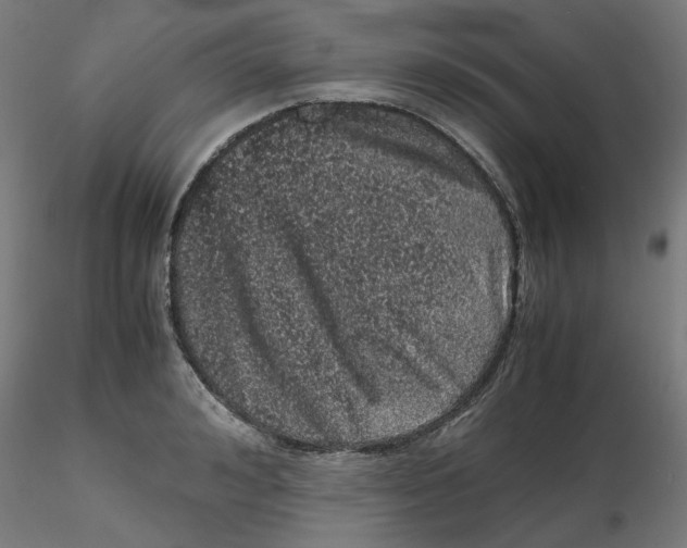 X0000116100992200912211607