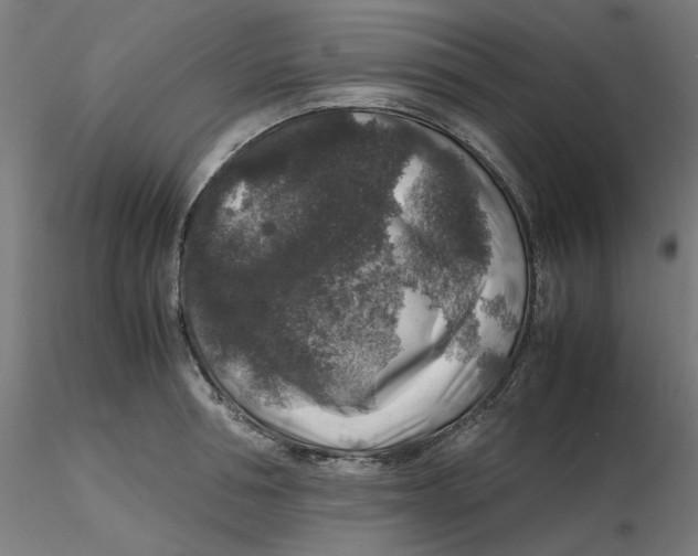 X0000116100994200912211607