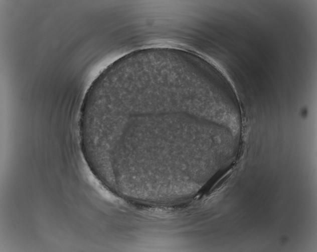 X0000116100995200912211607