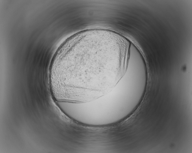 X0000116100996200912211607