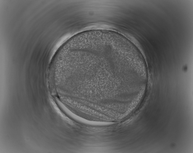 X0000116100997200912211607