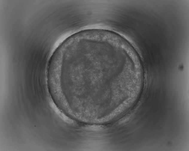 X0000116100998200912211607