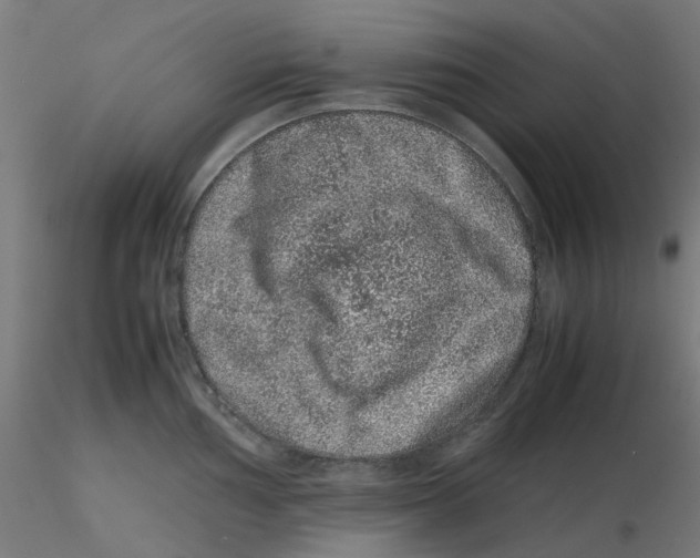 X0000116101002200912211607