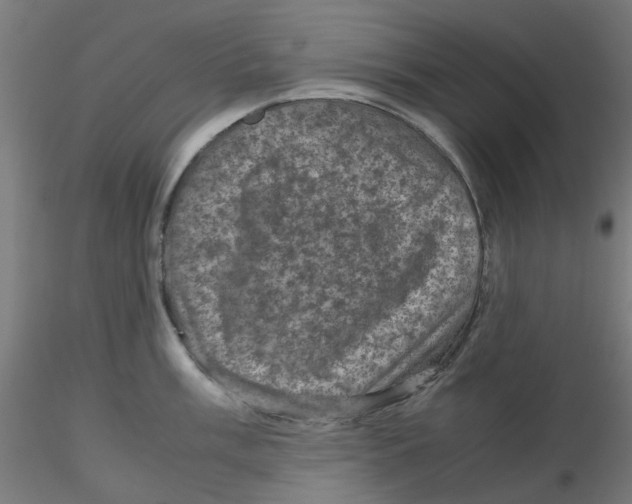 X0000116101003200912211607