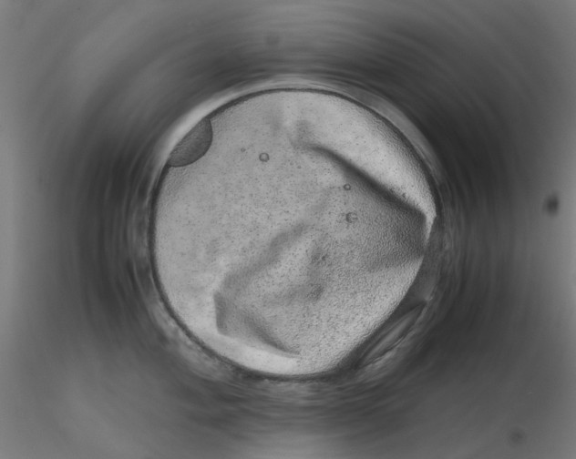 X0000116101004200912211607