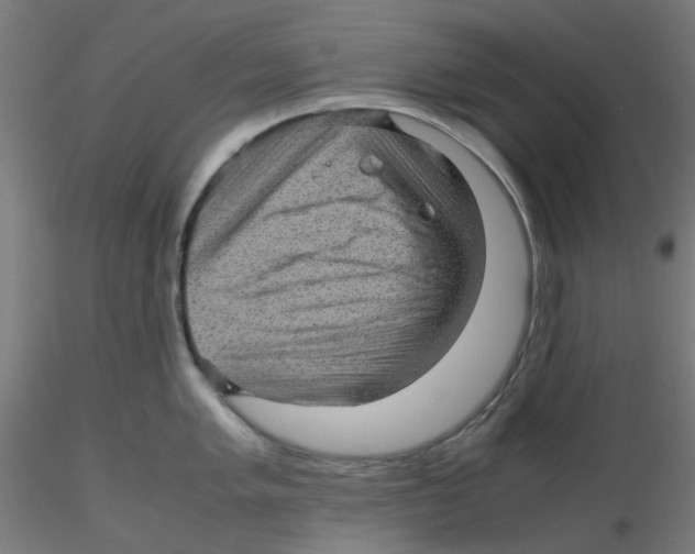 X0000116101005200912211607