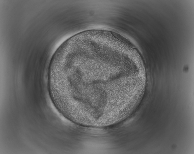 X0000116101007200912211607