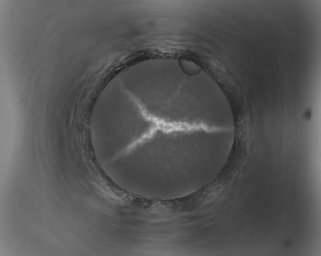 X0000116101009200912211607