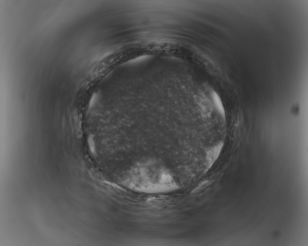 X0000116101013200912211607