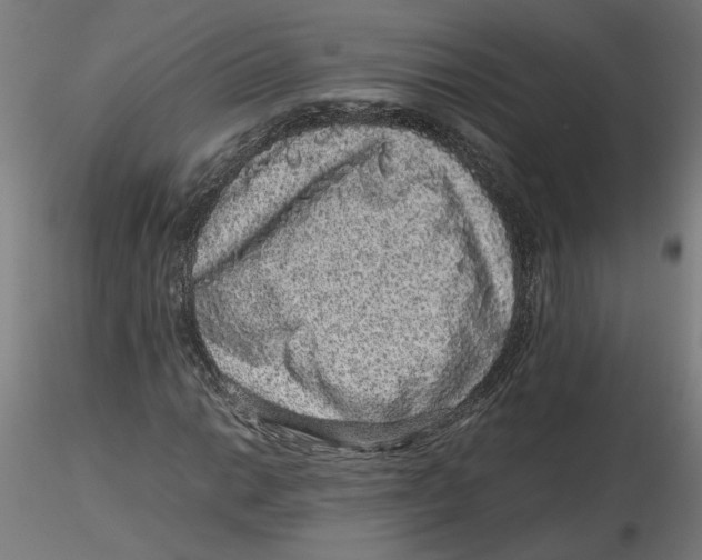 X0000116101014200912211607