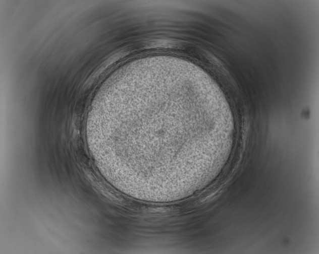 X0000116101017200912211607