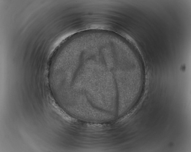 X0000116101019200912211607