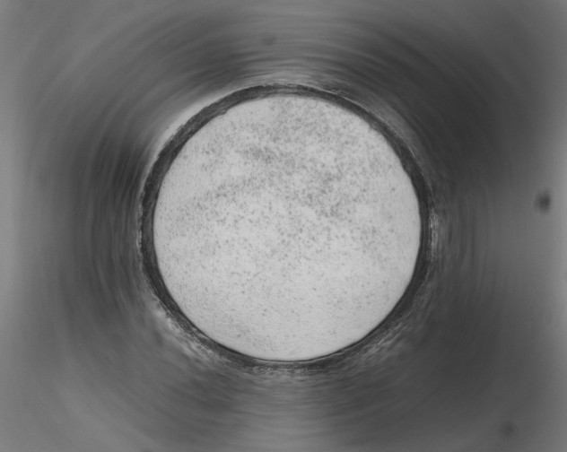 X0000116101020200912211607