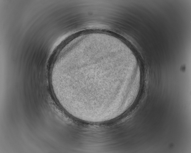 X0000116101022200912211607